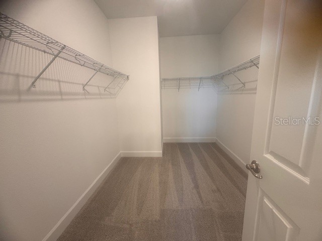 4763 Turkey Outlook Road Apopka FL 32712 O6389821 image10