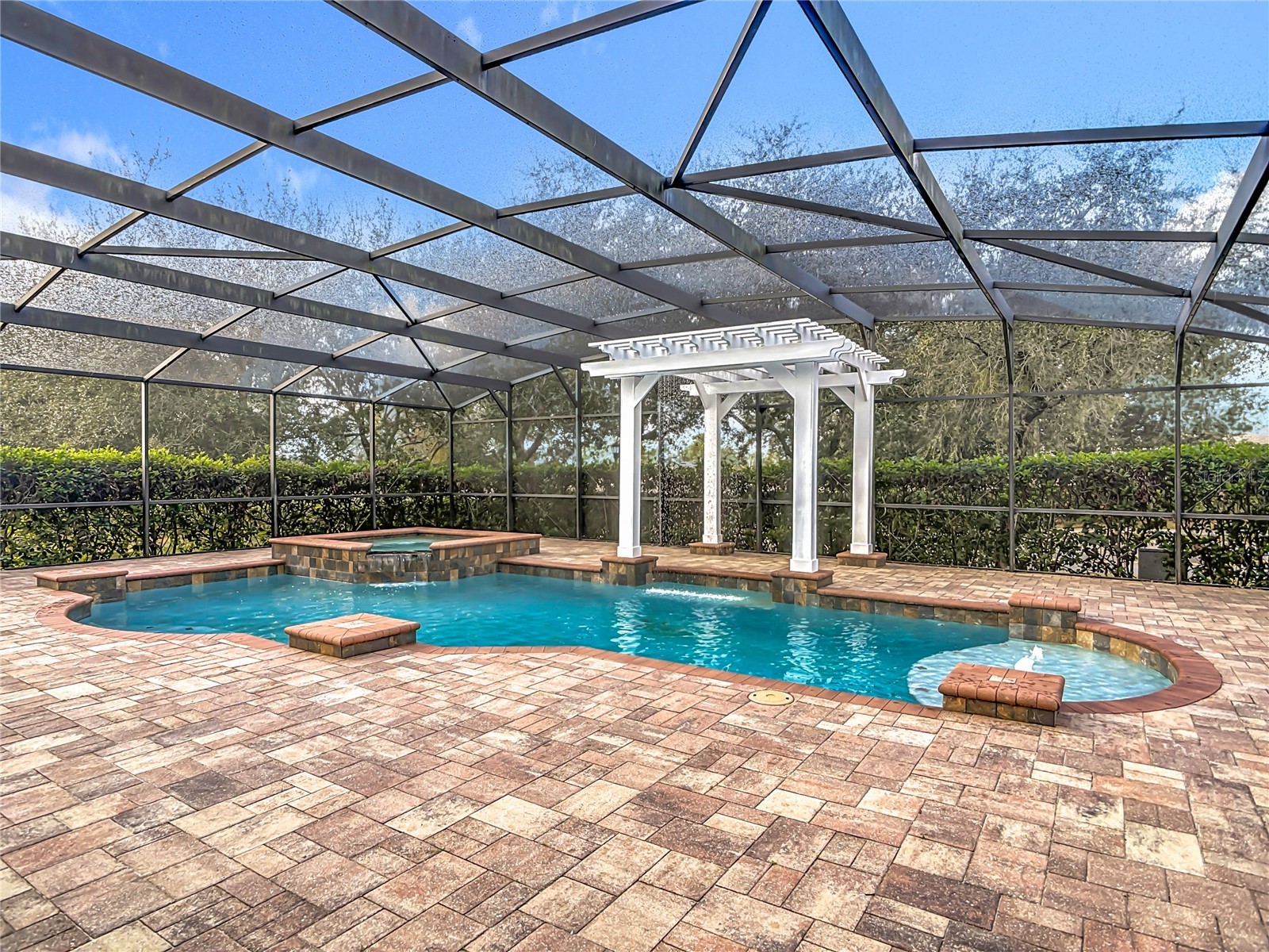 4764 Coppola Drive Mount Dora FL 32757 O6374107 image82