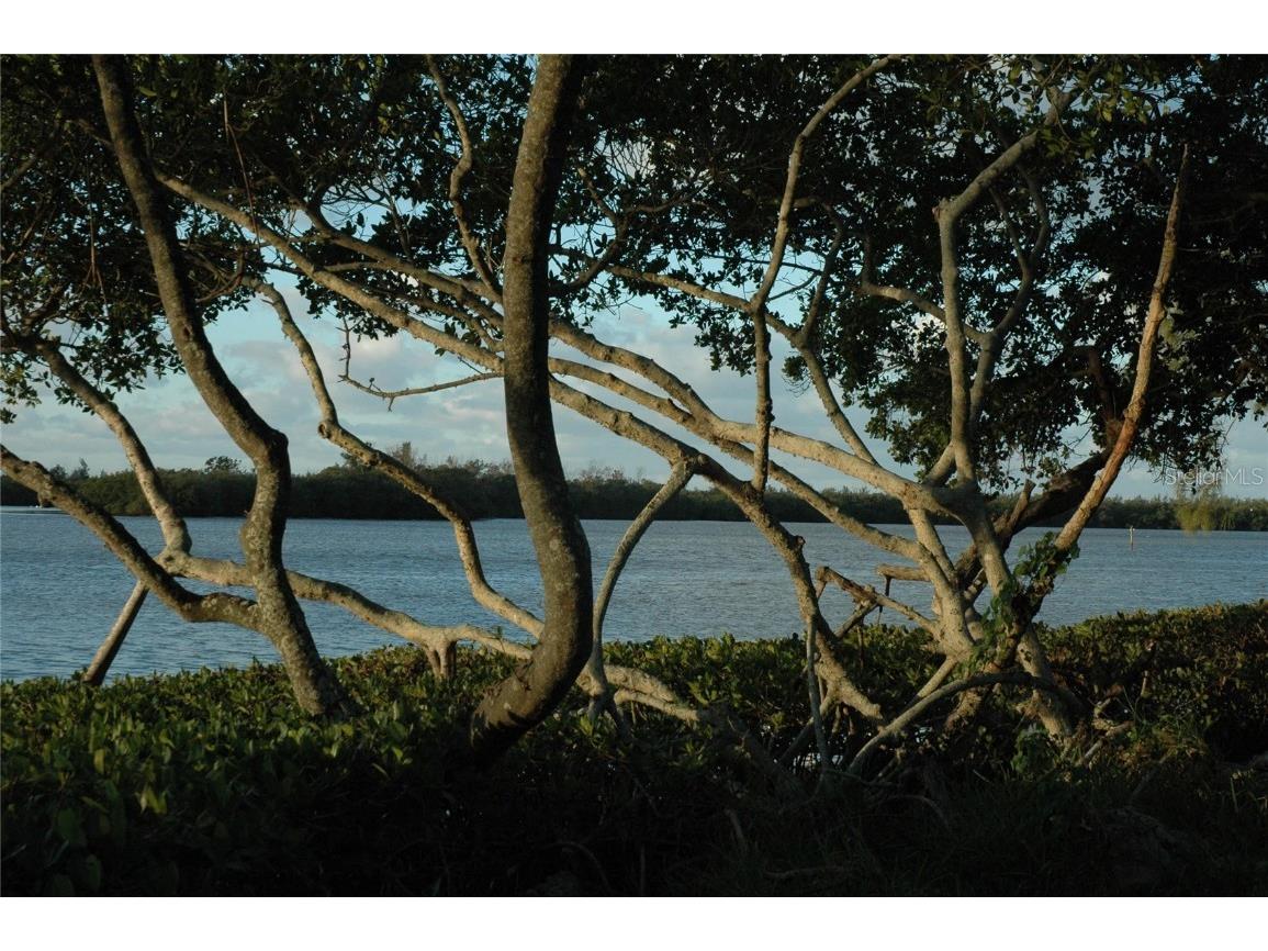 4765 Independence Drive Bradenton FL 34210 - SARASOTA BAY A4666159 image38