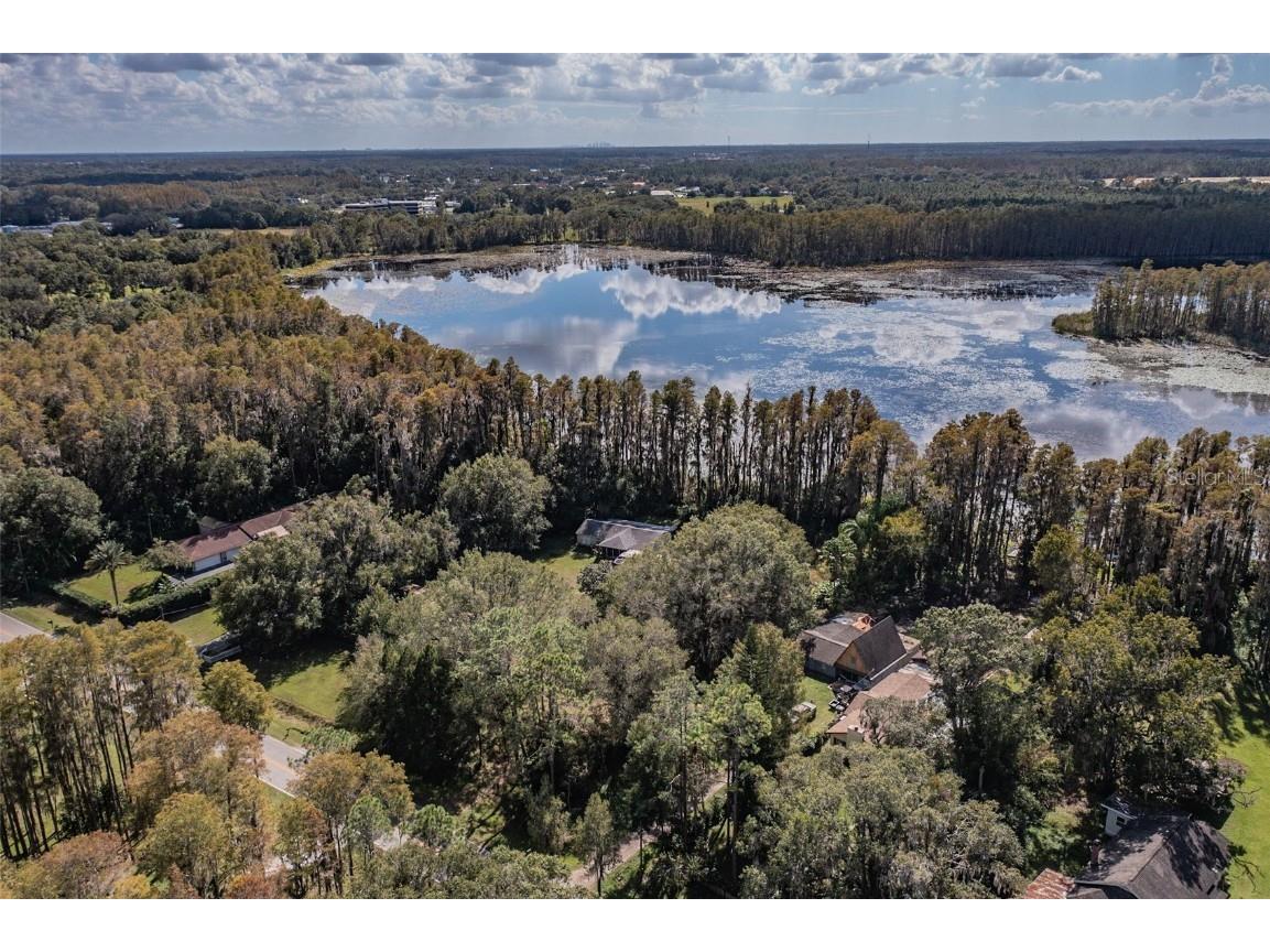 4765 School Road Land O Lakes FL 34638 - WEST LAKE ELLIS T3410313 image1