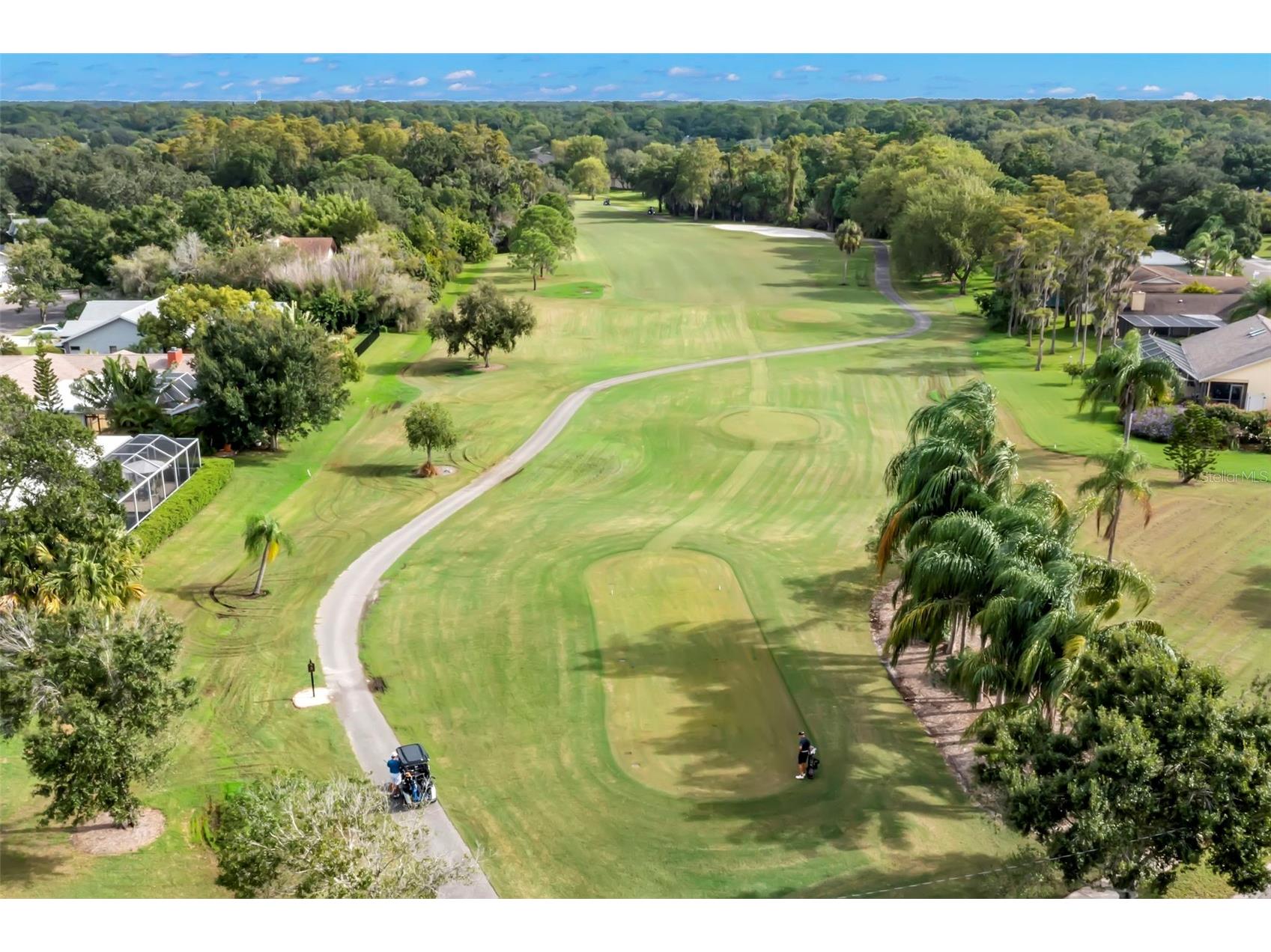 4766 Stoneview Circle Oldsmar FL 34677 TB8487161 image44