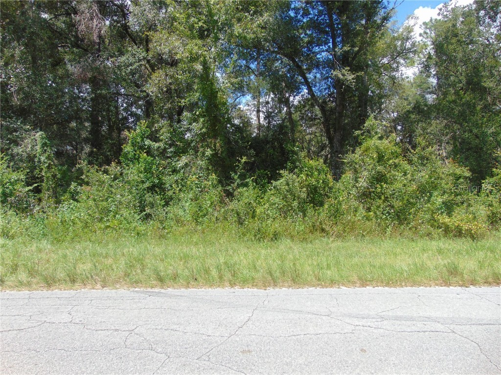 4766 SW 125th Road Webster FL 33597 G5101719 image1