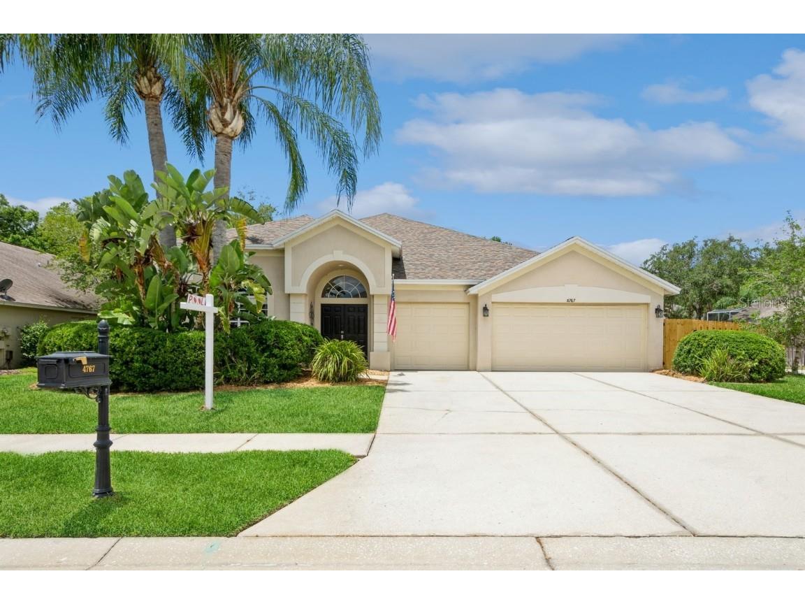 4767 Stonebriar Drive Oldsmar FL 34677 U8201446 image1
