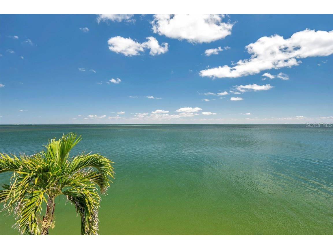 4768 Coquina Key Drive SE Saint Petersburg FL 33705 TB8375137 image38