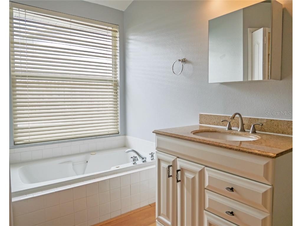 4768 Ridgemoor Circle Palm Harbor FL 34685 TB8442372 image20