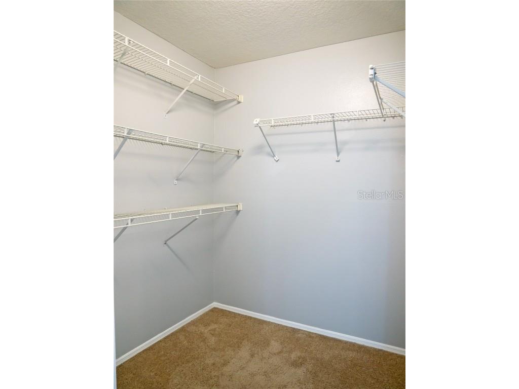 4768 Ridgemoor Circle Palm Harbor FL 34685 TB8442372 image22