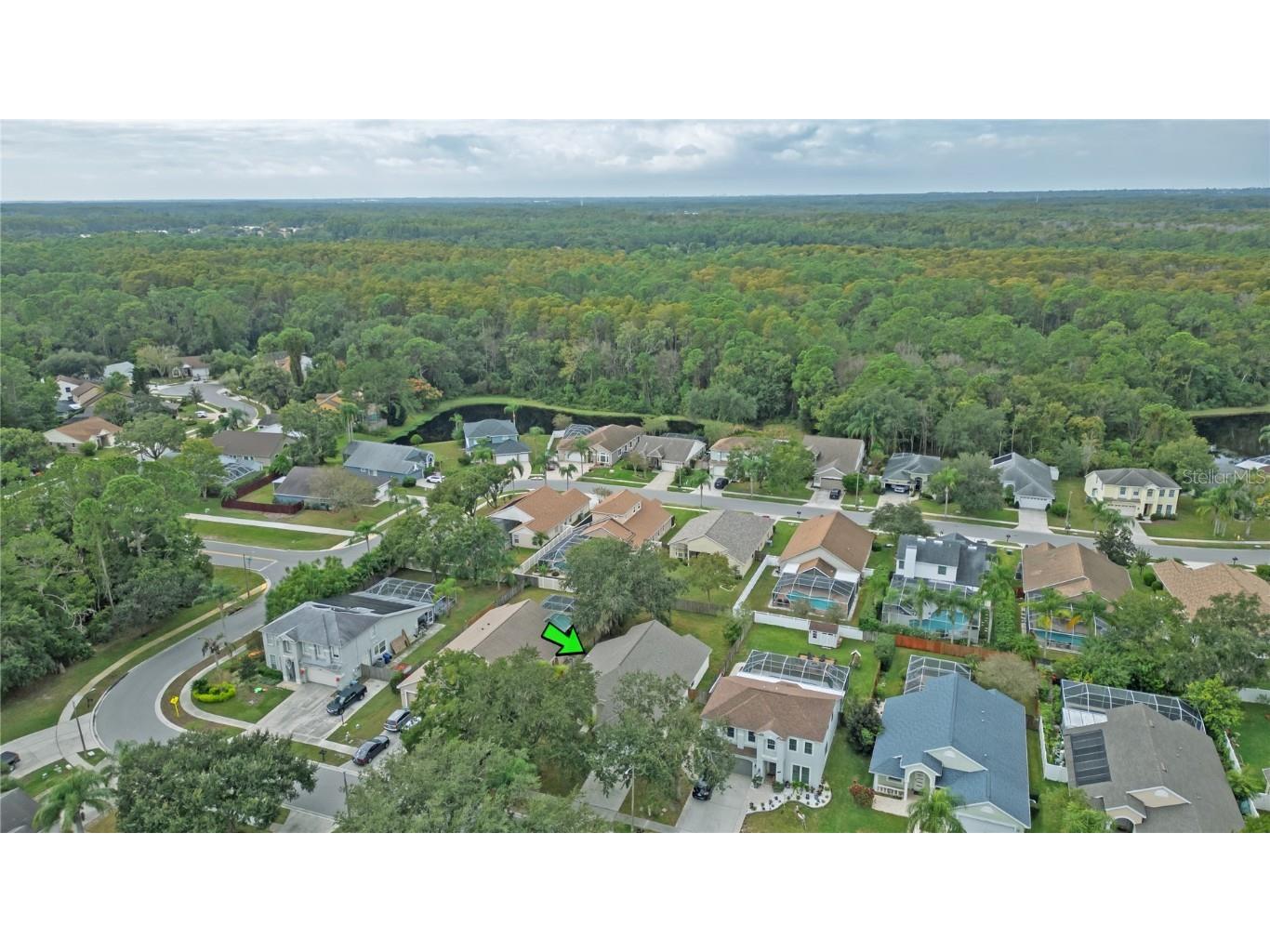 4768 Ridgemoor Circle Palm Harbor FL 34685 TB8442372 image36