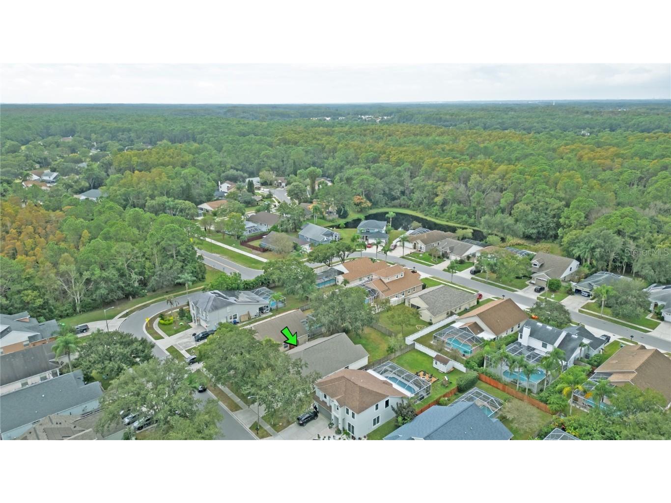 4768 Ridgemoor Circle Palm Harbor FL 34685 TB8442372 image37