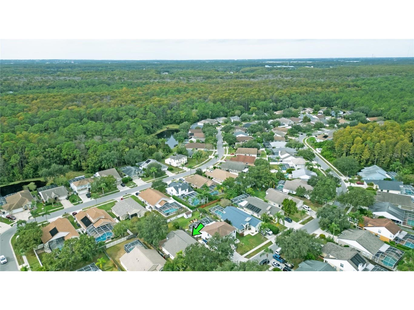 4768 Ridgemoor Circle Palm Harbor FL 34685 TB8442372 image38