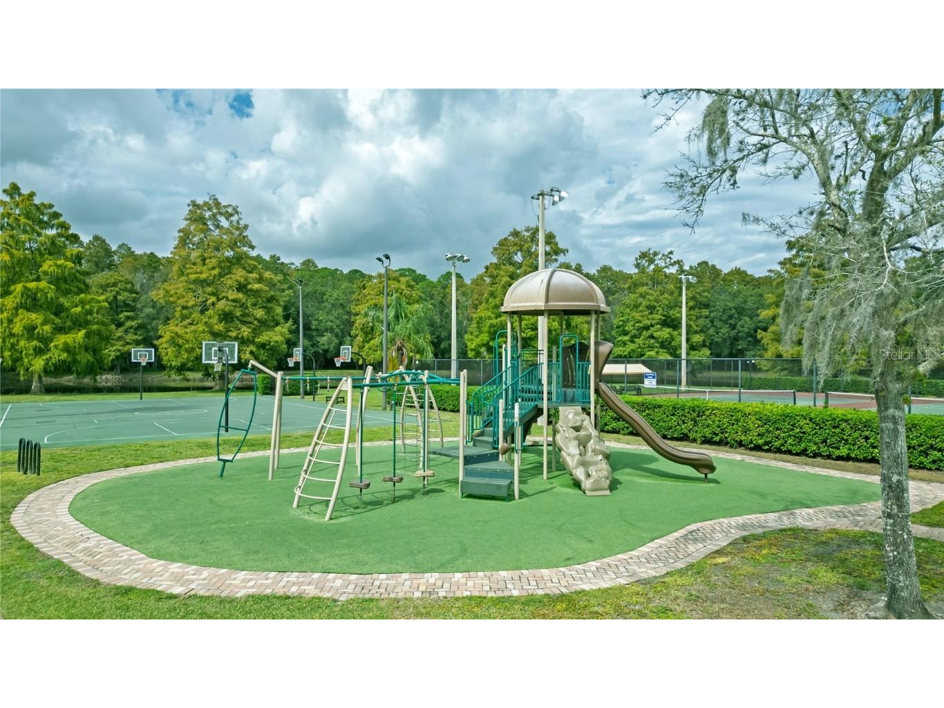 4768 Ridgemoor Circle Palm Harbor FL 34685 TB8442372 image39