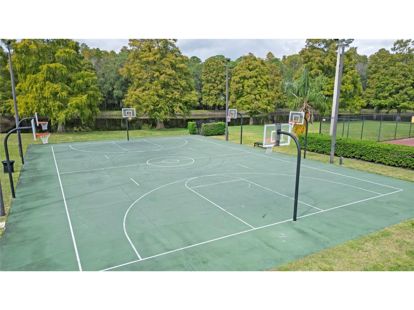 4768 Ridgemoor Circle Palm Harbor FL 34685 TB8442372 image40