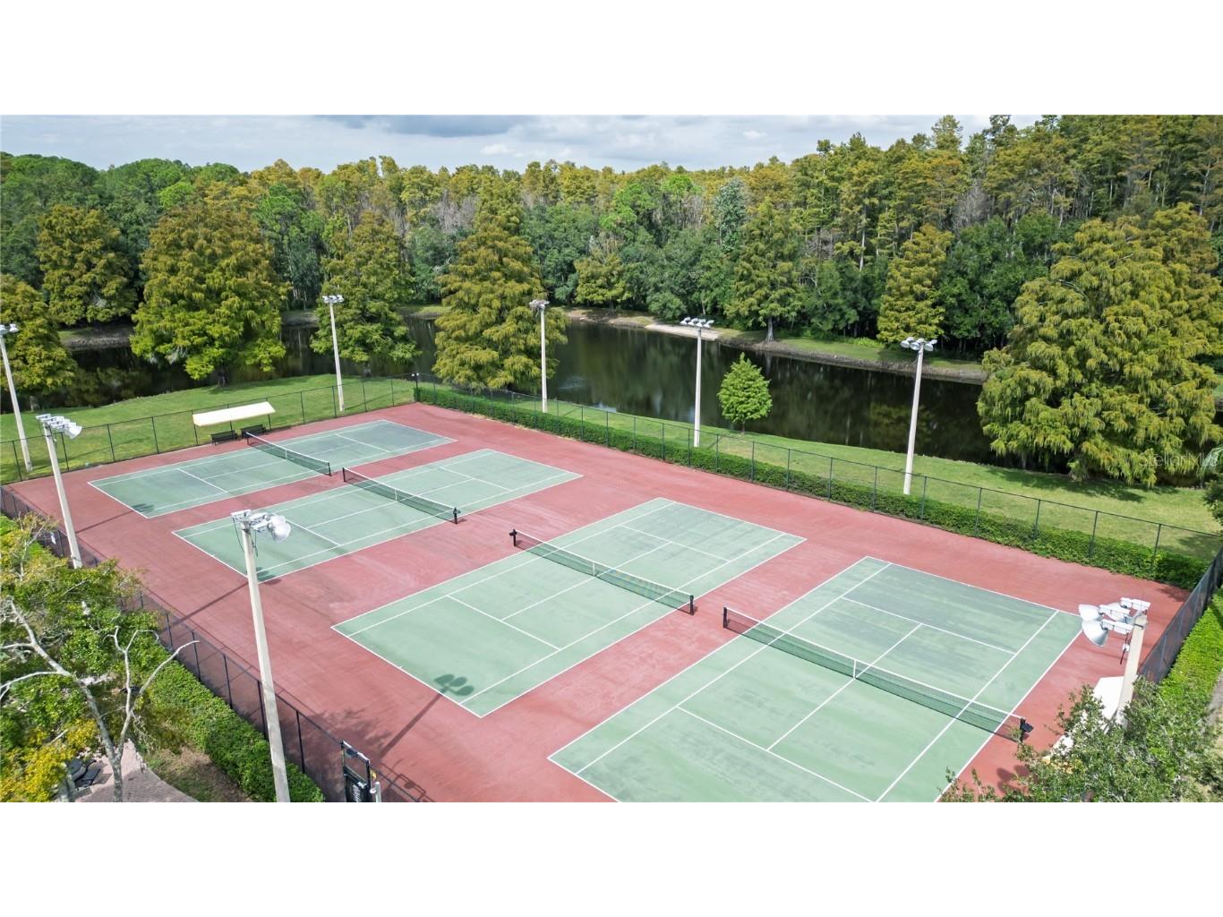 4768 Ridgemoor Circle Palm Harbor FL 34685 TB8442372 image41