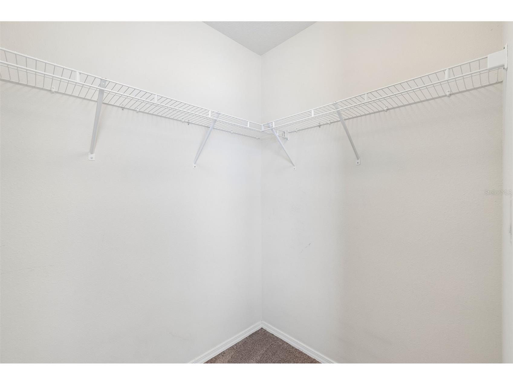 4768 White Sanderling Court Tampa FL 33619 TB8506552 image17