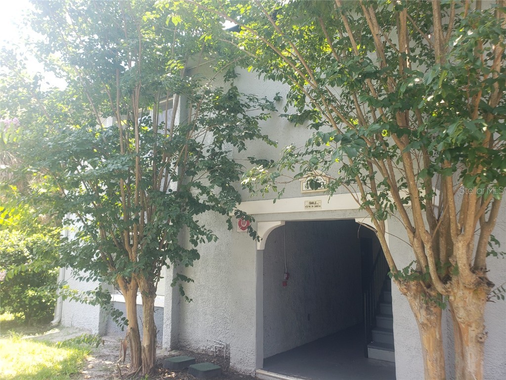 4769 S Texas Avenue #4769B Orlando FL 32839 S5090782 image1