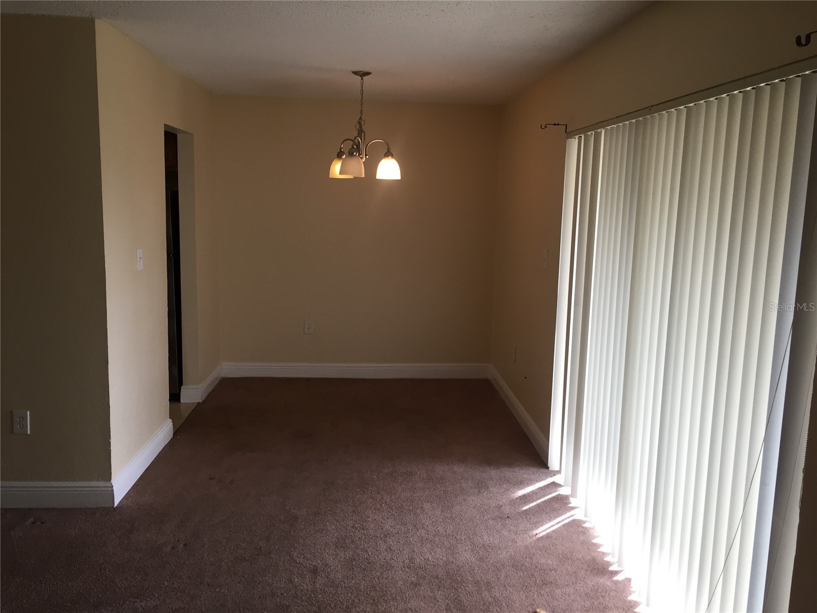 4769 S Texas Avenue #D Orlando FL 32839 S5154357 image1