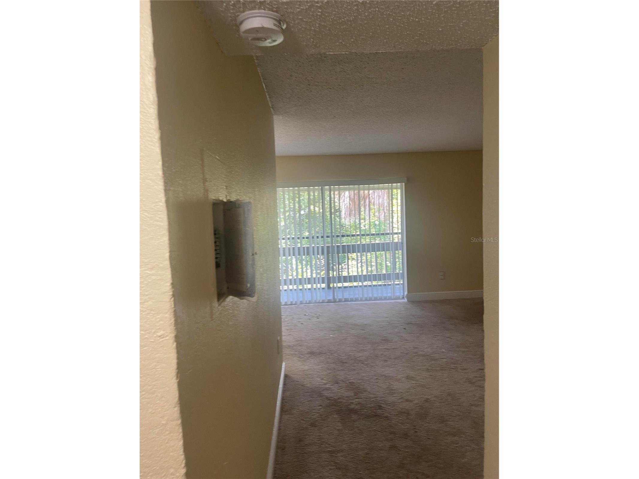 4769 S Texas Avenue #D Orlando FL 32839 S5154357 image4