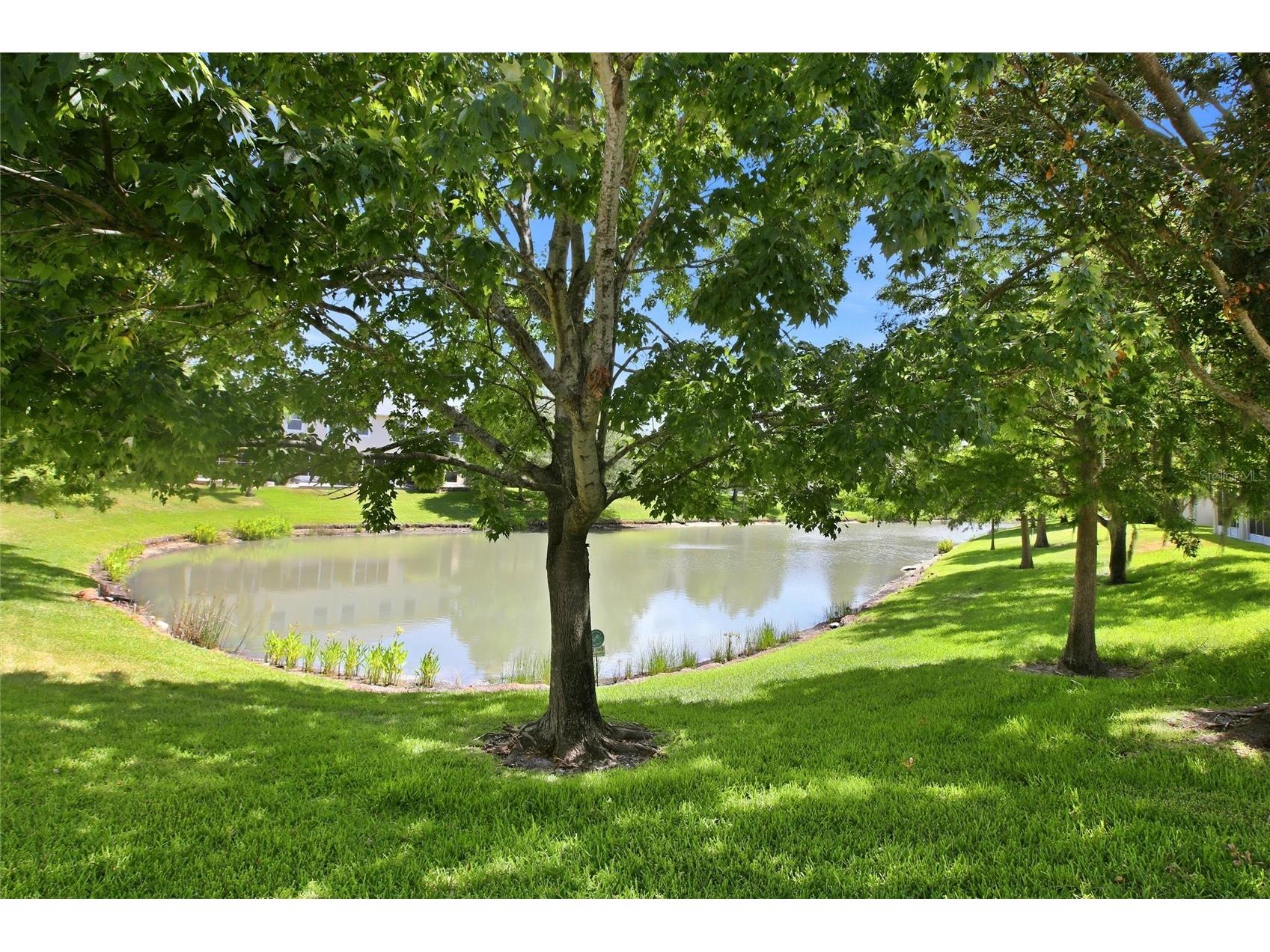 477 Harbor Ridge Drive Palm Harbor FL 34683 TB8521947 image38