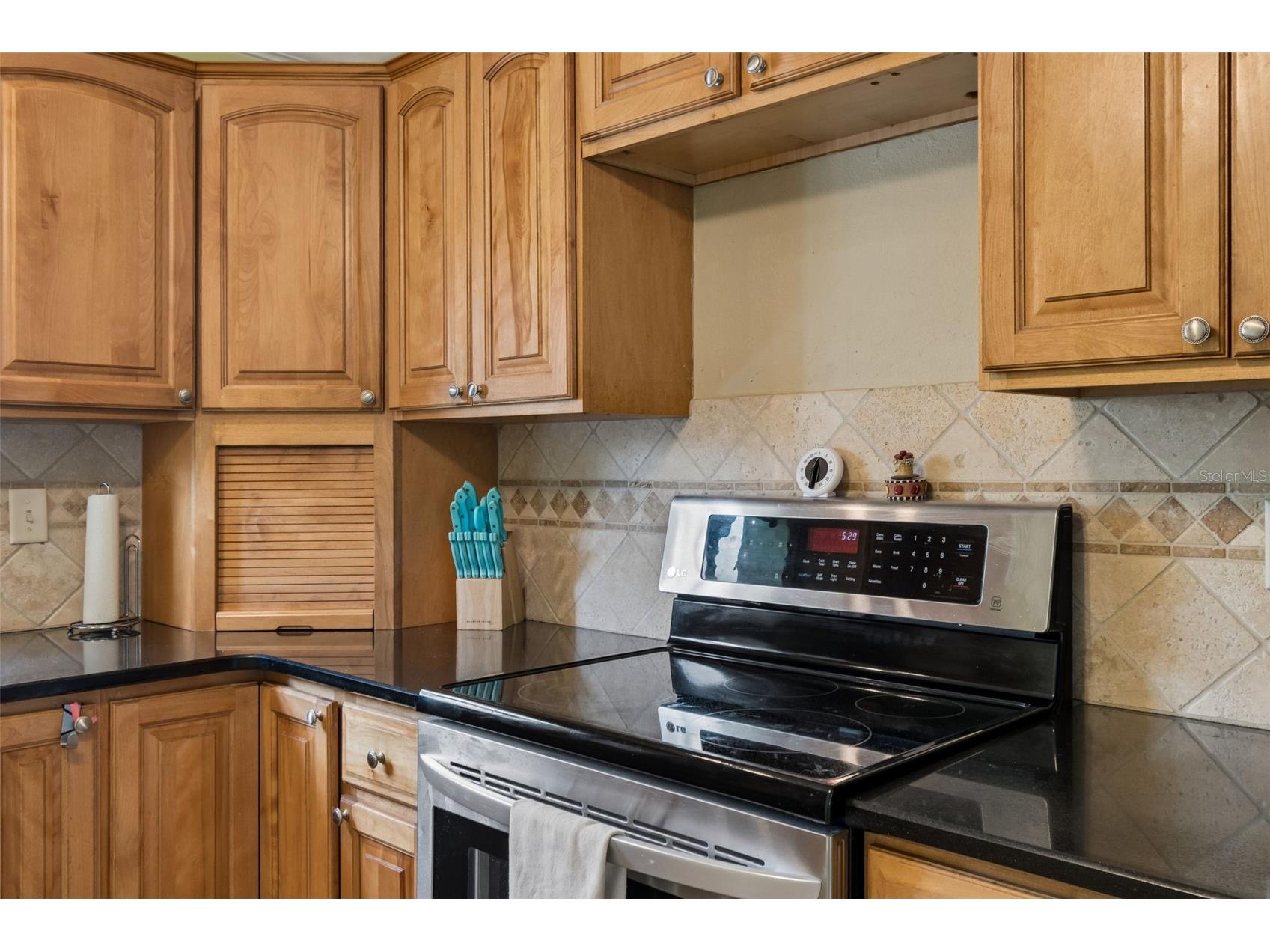 477 Orkney Court Dunedin FL 34698 TB8496678 image24