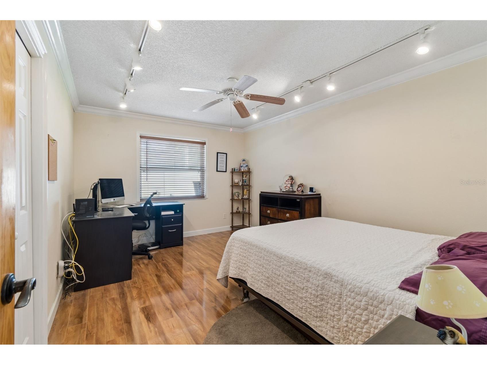 477 Orkney Court Dunedin FL 34698 TB8496678 image35