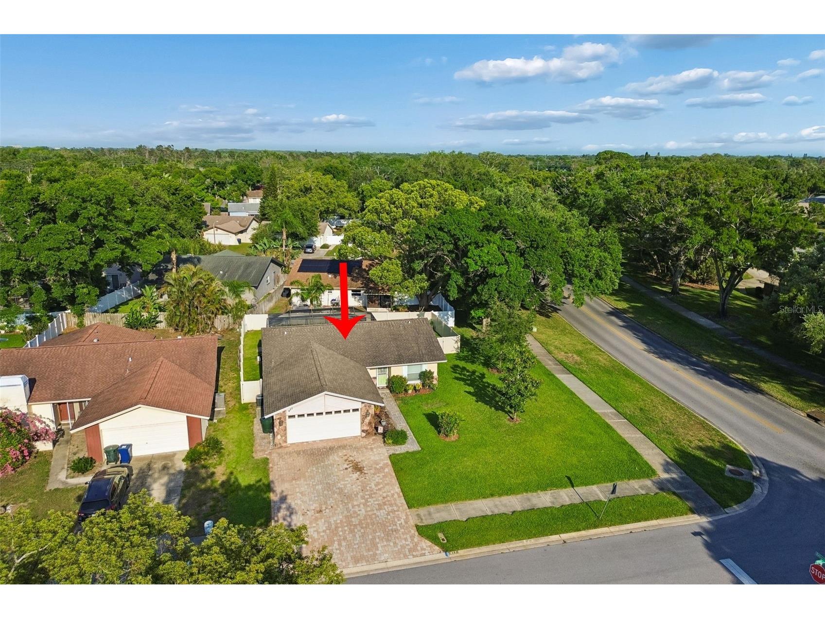 477 Orkney Court Dunedin FL 34698 TB8496678 image61