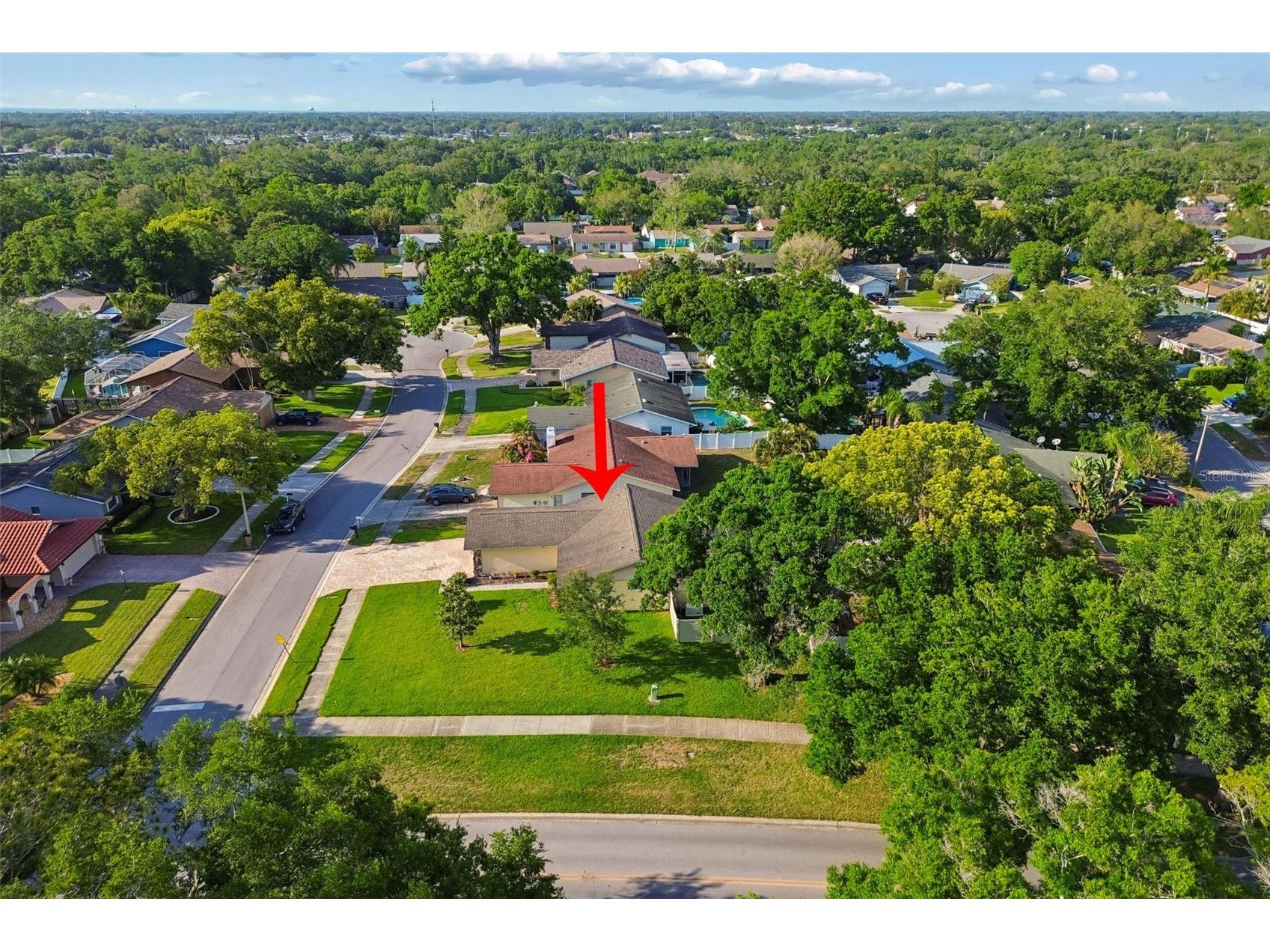 477 Orkney Court Dunedin FL 34698 TB8496678 image63