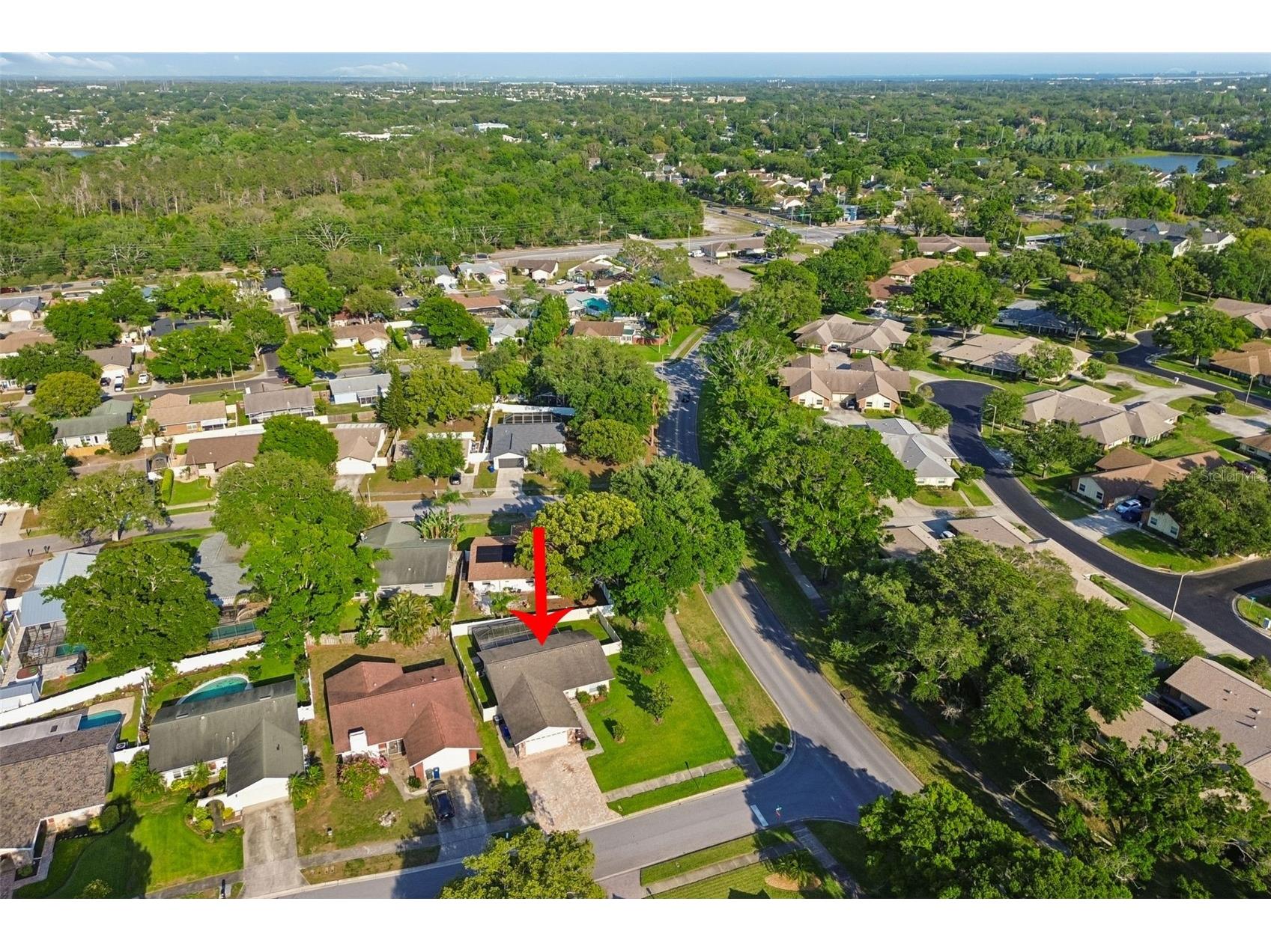 477 Orkney Court Dunedin FL 34698 TB8496678 image64