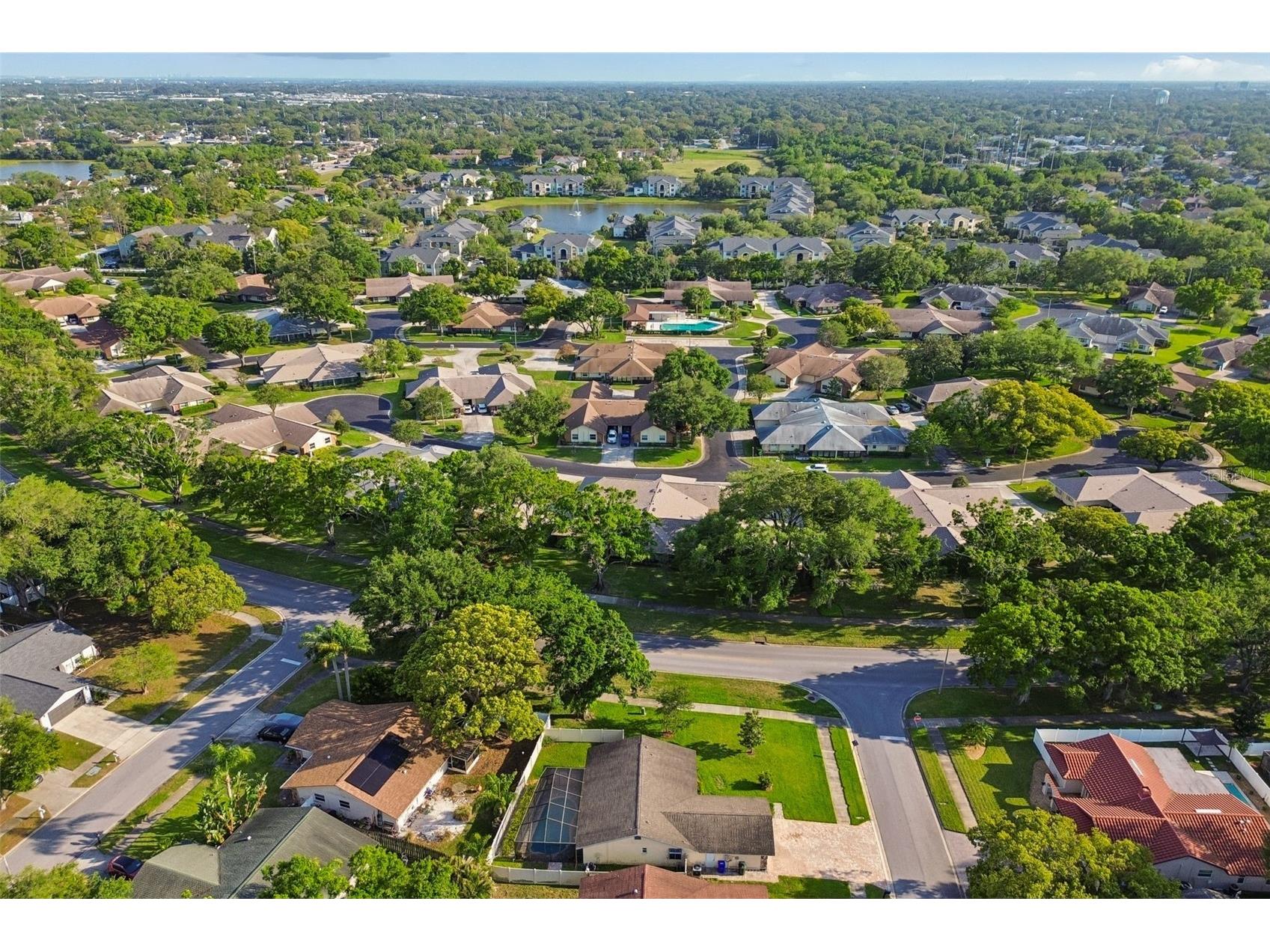 477 Orkney Court Dunedin FL 34698 TB8496678 image65