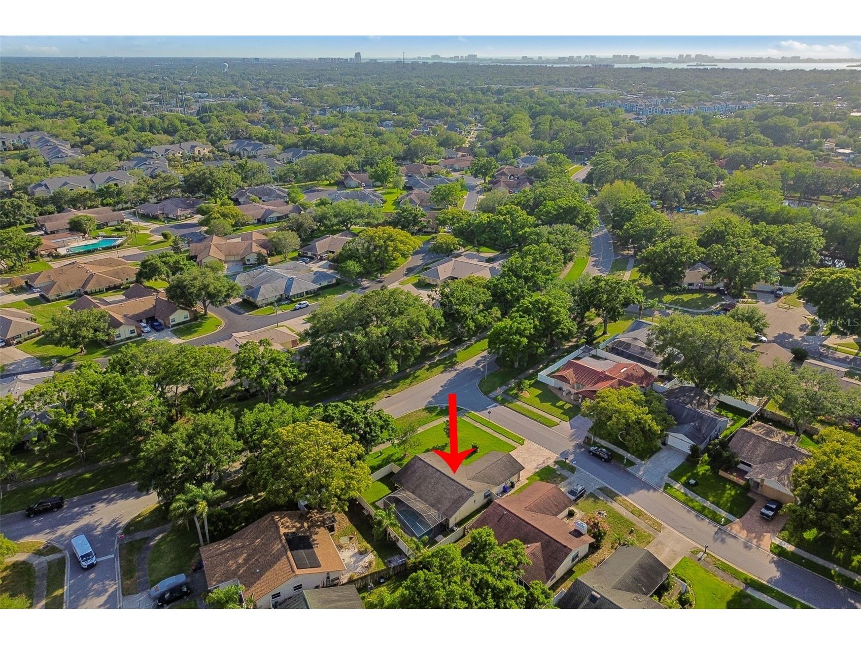 477 Orkney Court Dunedin FL 34698 TB8496678 image66