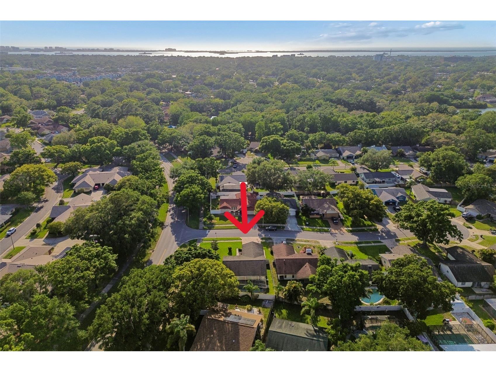 477 Orkney Court Dunedin FL 34698 TB8496678 image67