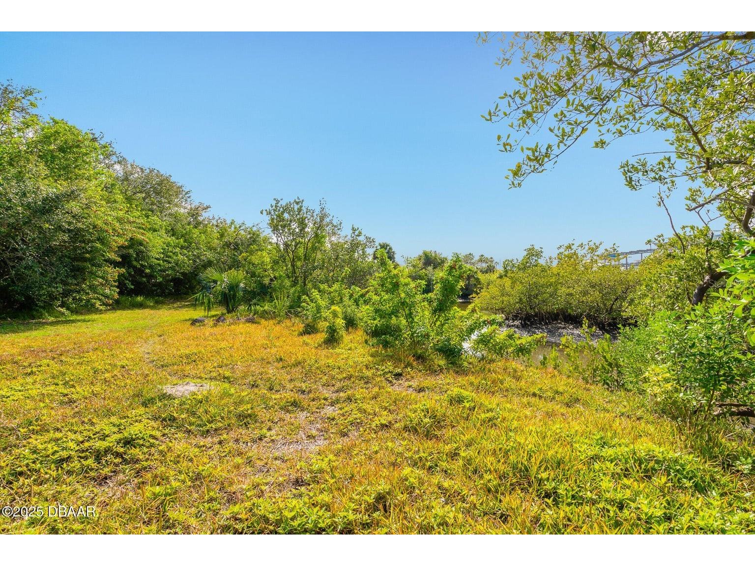4770 S Peninsula Drive Ponce Inlet FL 32127 - HALIFAX RIVER V4946412 image11