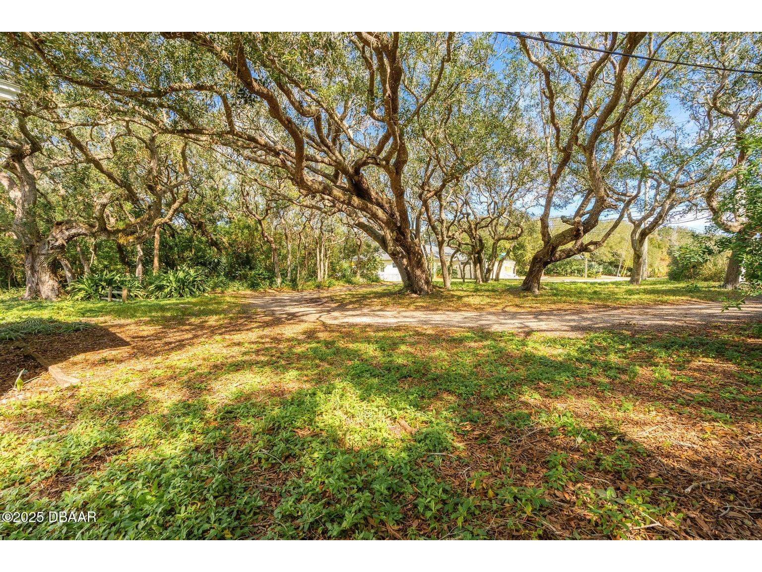 4770 S Peninsula Drive Ponce Inlet FL 32127 - HALIFAX RIVER V4946412 image3