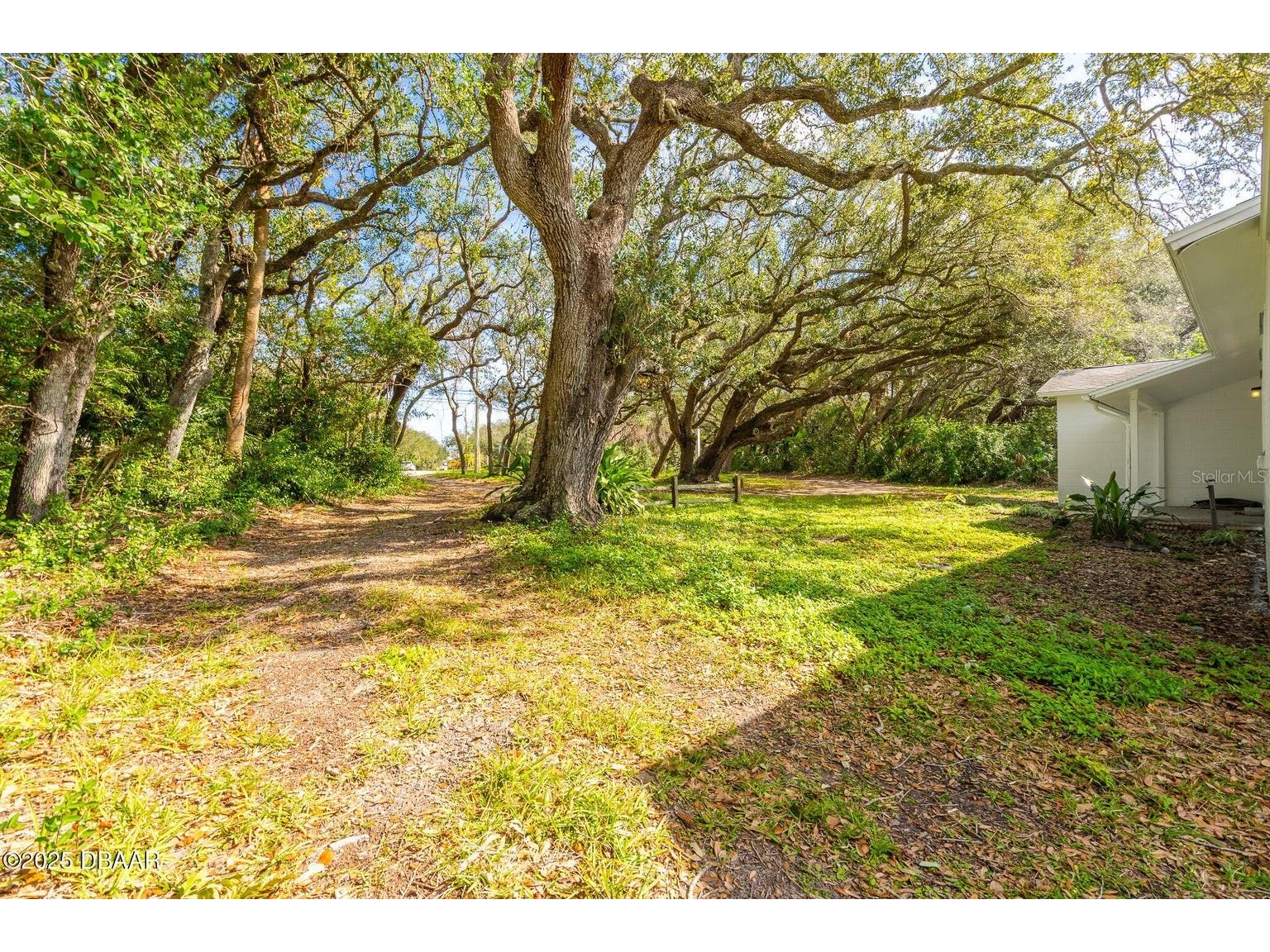 4770 S Peninsula Drive Ponce Inlet FL 32127 - HALIFAX RIVER V4946412 image4
