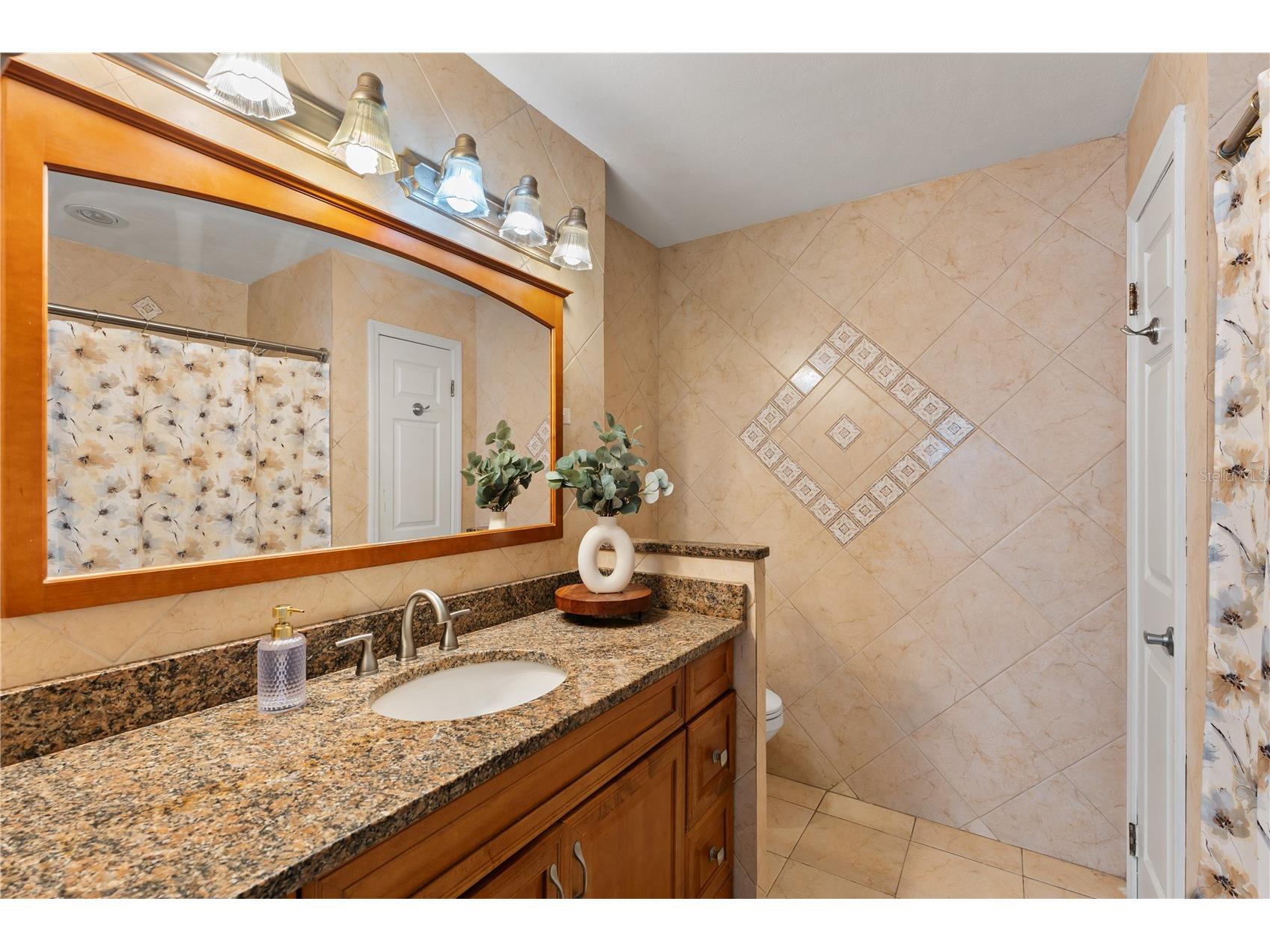 4770 Silver Circle Zephyrhills FL 33541 TB8490689 image28