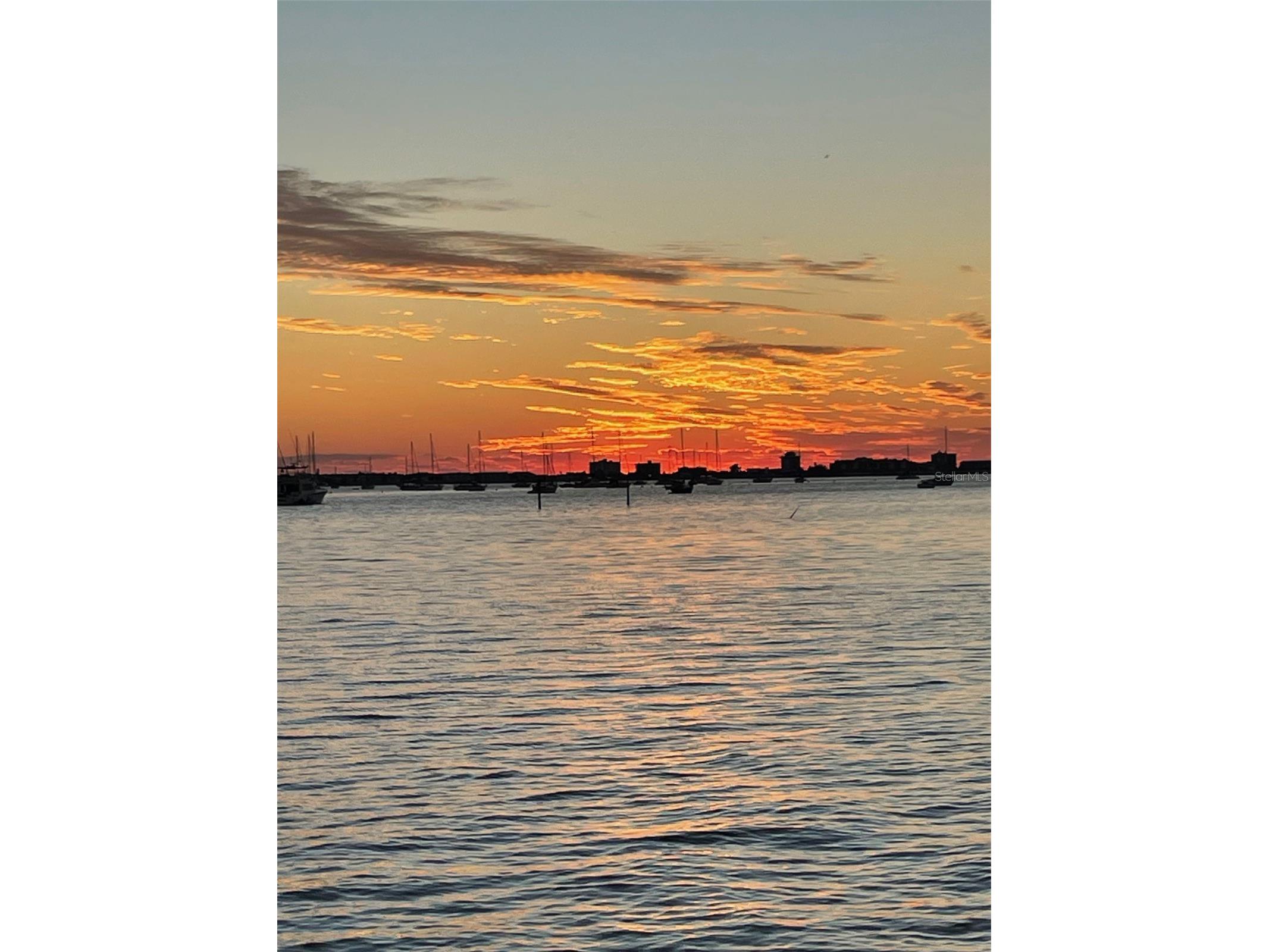 4771 Baywood Point Drive S Gulfport FL 33711 - BOCA CIEGA BAY TB8392825 image24