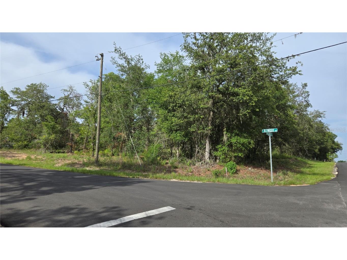 4771 N Redwood Avenue Hernando FL 34442 TB8398091 image1