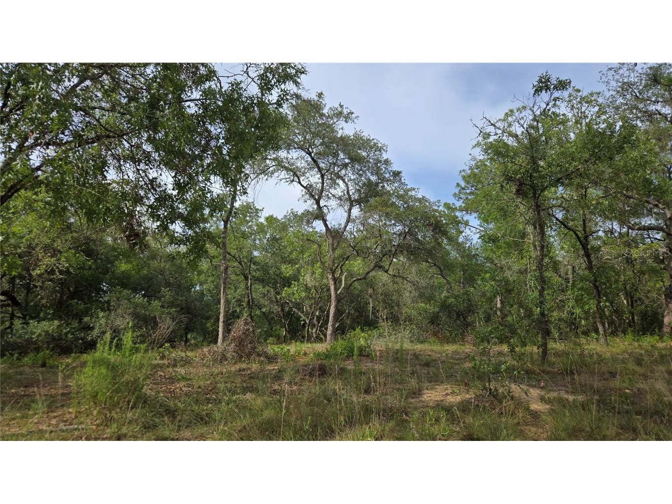 4771 N Redwood Avenue Hernando FL 34442 TB8398091 image10