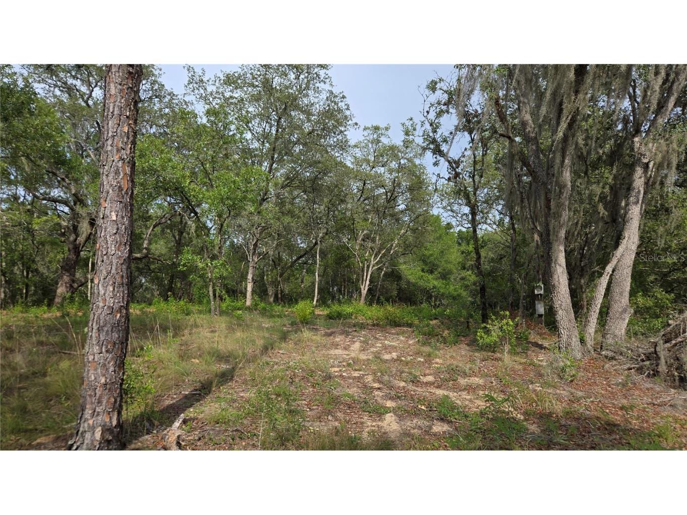 4771 N Redwood Avenue Hernando FL 34442 TB8398091 image11