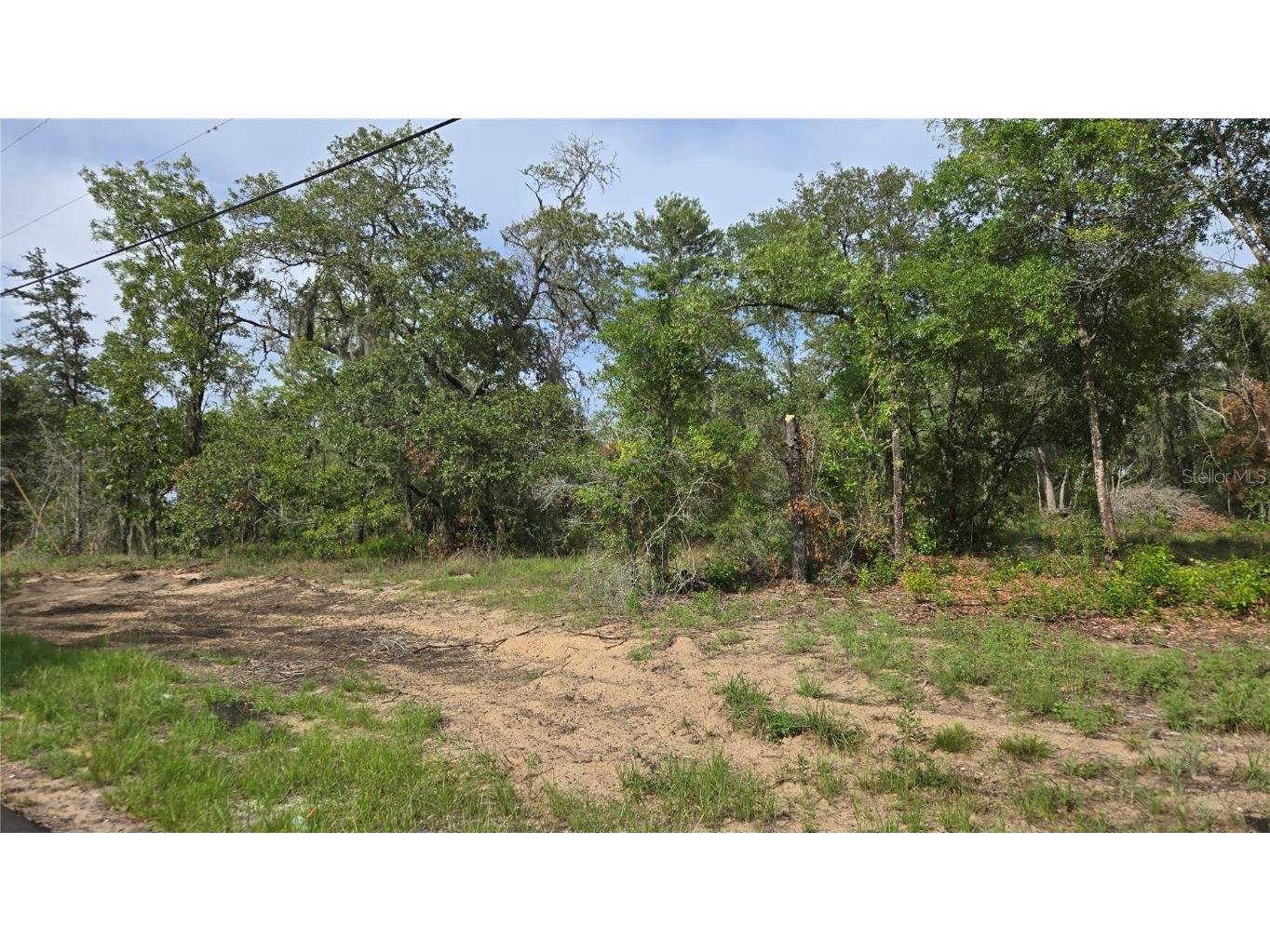 4771 N Redwood Avenue Hernando FL 34442 TB8398091 image13