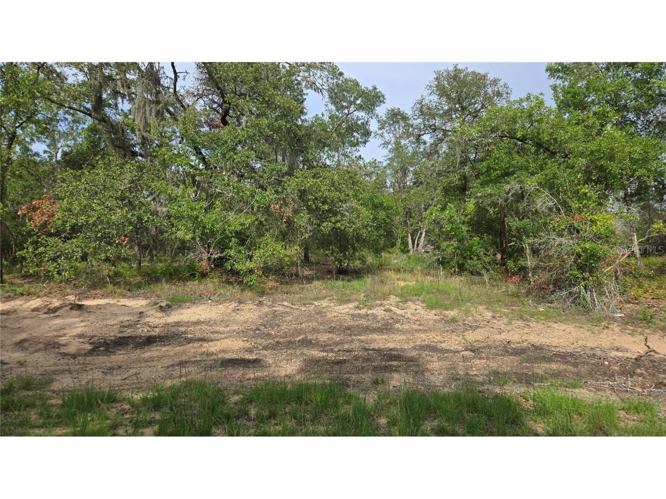 4771 N Redwood Avenue Hernando FL 34442 TB8398091 image14