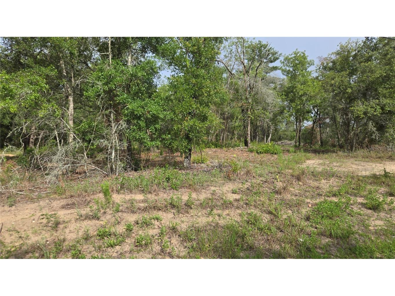 4771 N Redwood Avenue Hernando FL 34442 TB8398091 image18