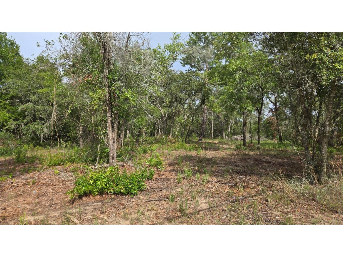 4771 N Redwood Avenue Hernando FL 34442 TB8398091 image20