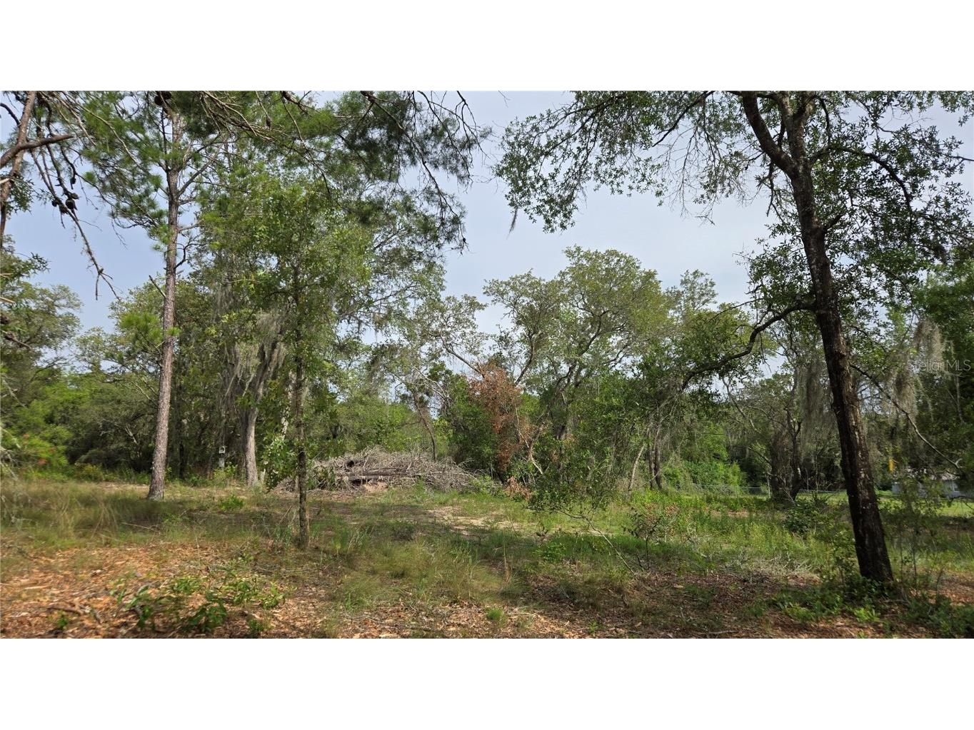 4771 N Redwood Avenue Hernando FL 34442 TB8398091 image21