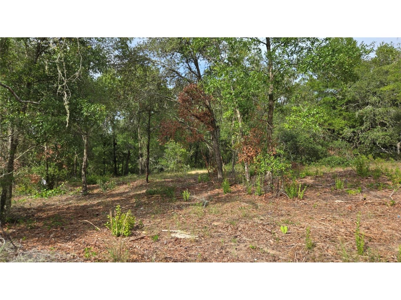 4771 N Redwood Avenue Hernando FL 34442 TB8398091 image22