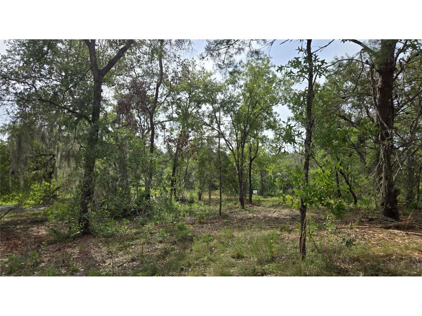 4771 N Redwood Avenue Hernando FL 34442 TB8398091 image23