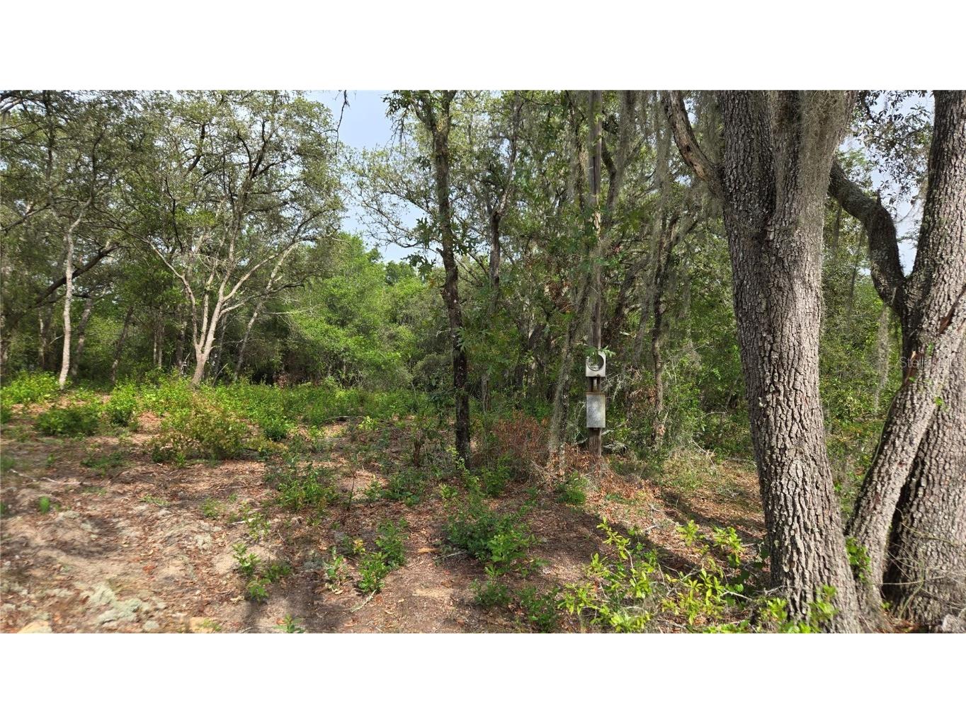 4771 N Redwood Avenue Hernando FL 34442 TB8398091 image24