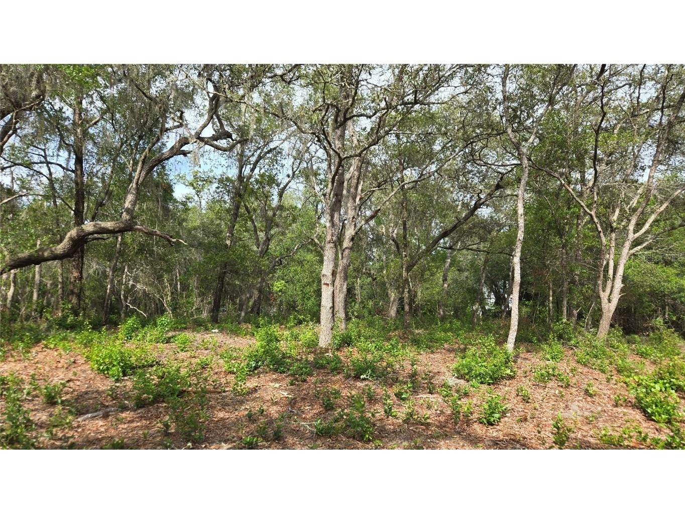 4771 N Redwood Avenue Hernando FL 34442 TB8398091 image25