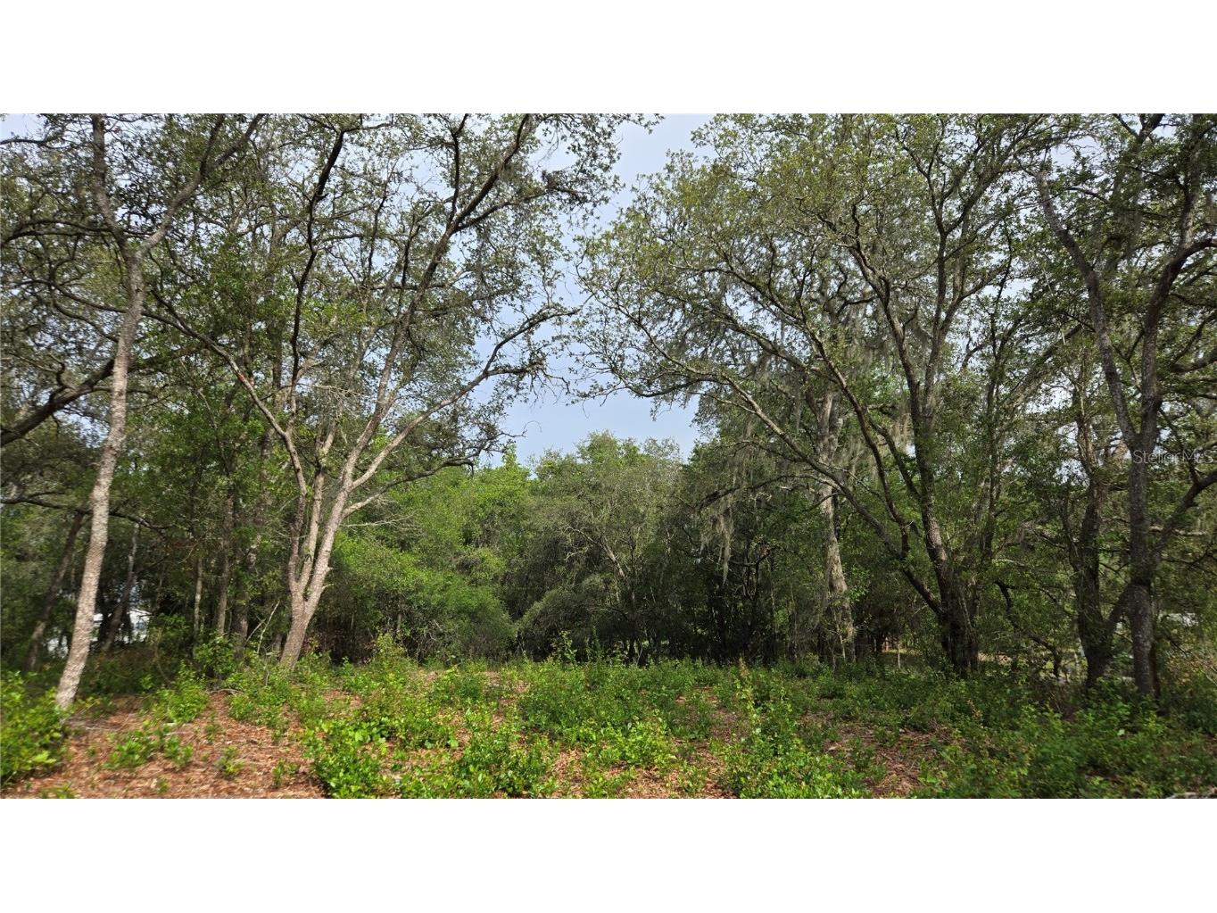 4771 N Redwood Avenue Hernando FL 34442 TB8398091 image26