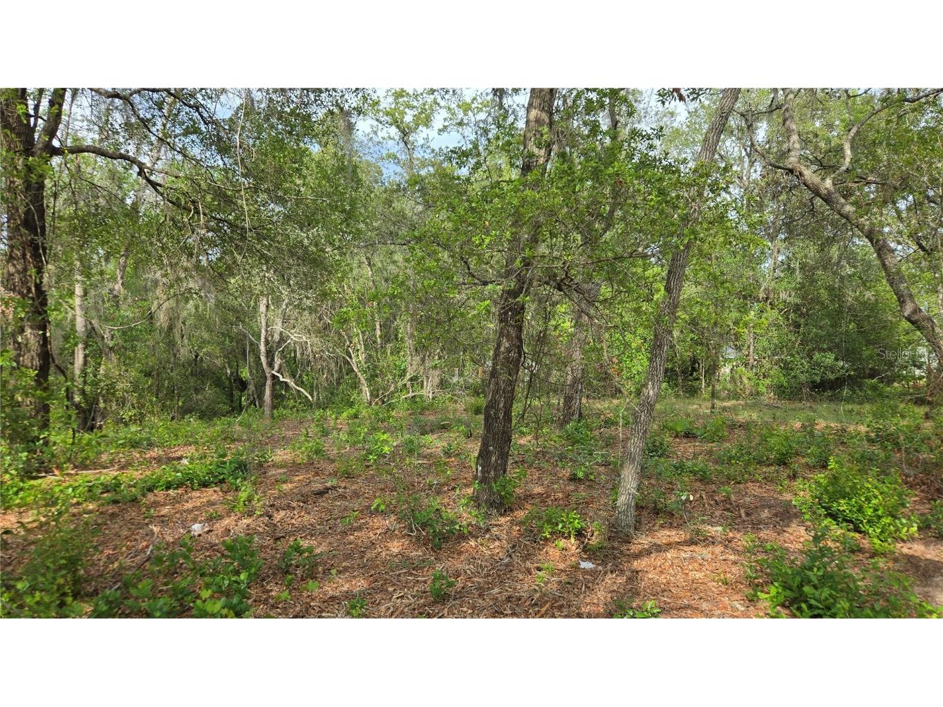 4771 N Redwood Avenue Hernando FL 34442 TB8398091 image28