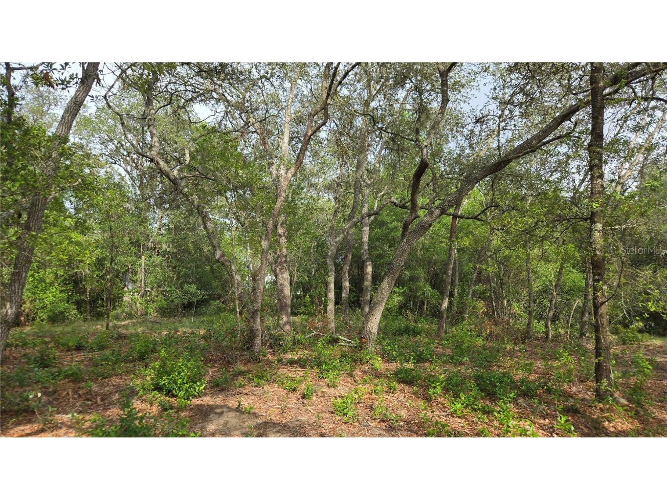 4771 N Redwood Avenue Hernando FL 34442 TB8398091 image29