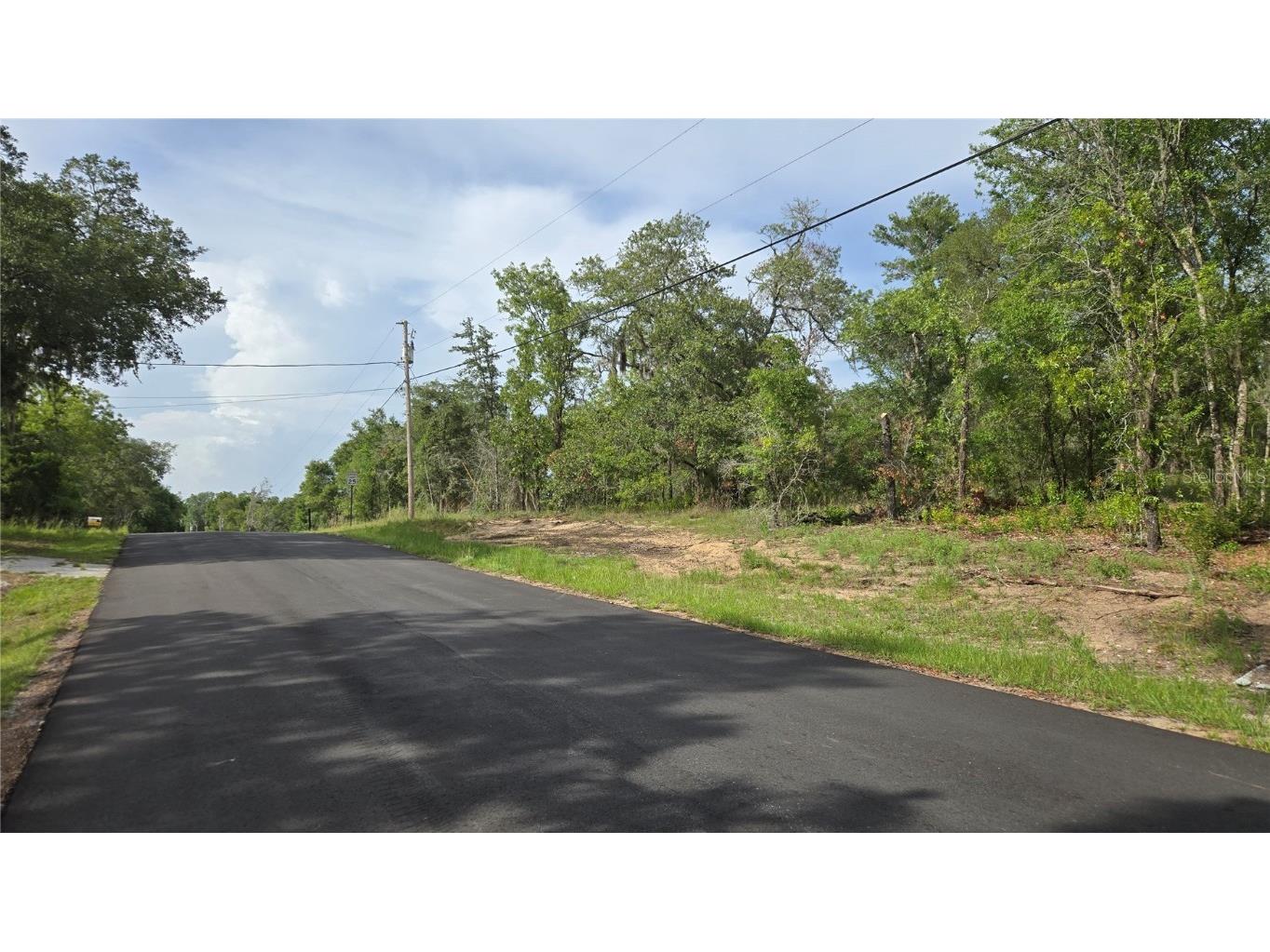 4771 N Redwood Avenue Hernando FL 34442 TB8398091 image3